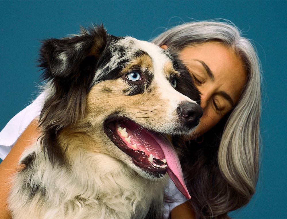 A dog parent grooming her dog with a cloth
