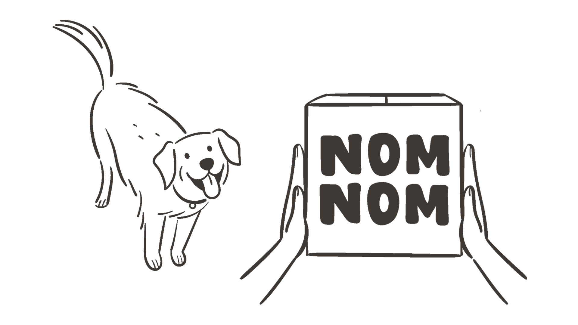 Nom Nom Dog Food Review (Hands On): Is It Worth the Price?