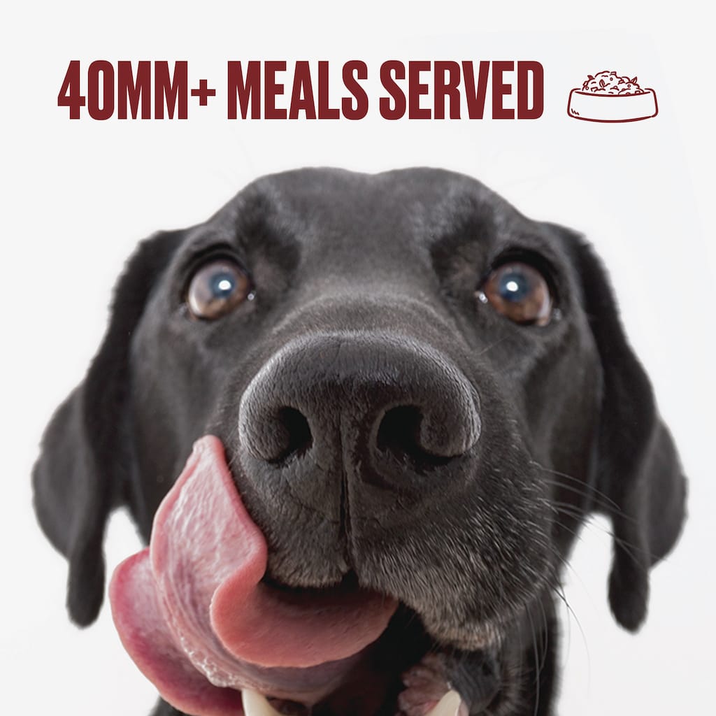 https://www.nomnomnow.com/images/home/variety_pack/dog_variety_pack_40MM_meals.jpg